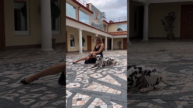 Каждая девушка - королева. Вы со мной согласны? смотреть онлайн