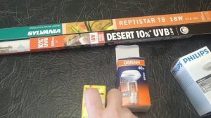 Как выбрать лампы в террариум бородатых агам