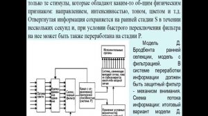 Когнитология  лекция 7 Внимание