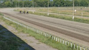 Раменский ипподром. Бега. 4K