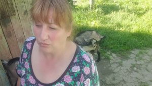 АДЫГЕЙСКИЙ СЫР НА ЗАВТРАК/ свой, домашний