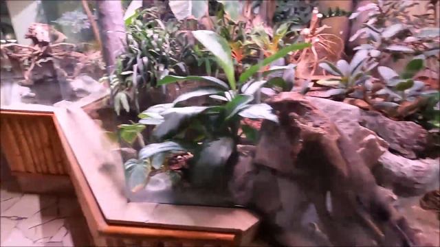 Warszawskie Zoo 31-12-2023 смотреть онлайн