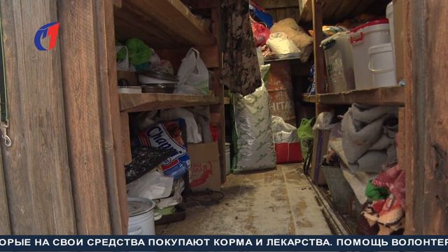 Помощь братьям нашим меньшим. ТК «Первый Советский» смотреть онлайн