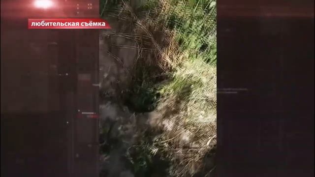 Жители села Раздольное под Новосибирском остались без дороги к своим домам