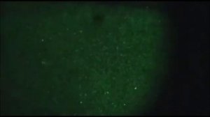 Night vision and thermal comparison, PVS14, COTI, thermal imager, retreat security, PAS 29