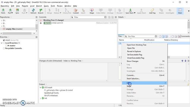 SmartGit 18.2.3: Local - LFS - Track (Part 2) смотреть онлайн
