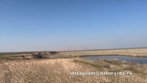 Заповедник Тигровая балка, учёт птиц. 18 февраля 2022