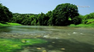 La beauté de la Nature - Beauty of Nature (2015)