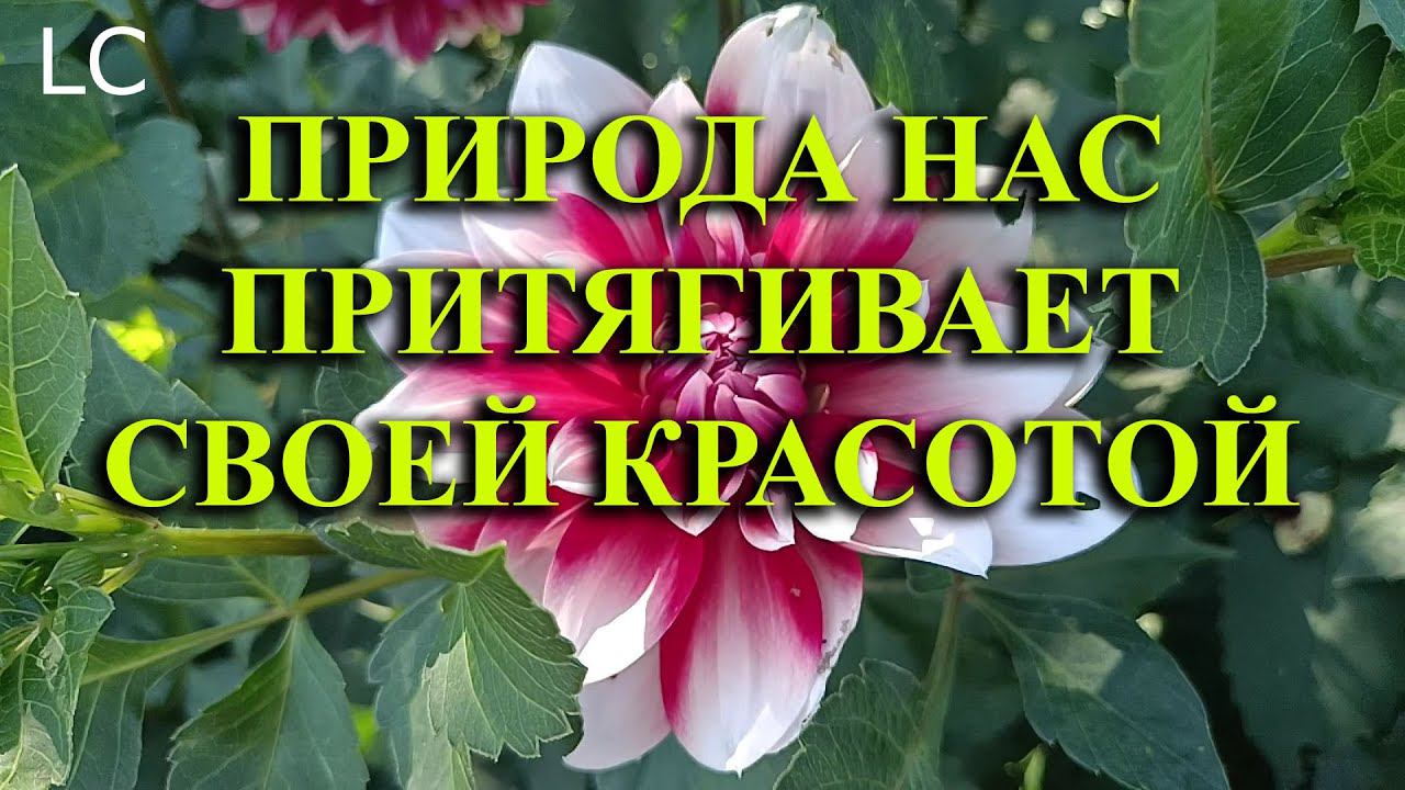 Лёгкость и расслабленность в организме после прослушивания.  #музыкадлясна