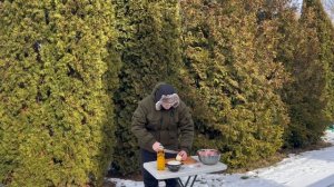 Шашлык в растительном масле|Быстро просто и легко.