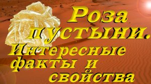 Минералы. Роза пустыни. Интересные факты, магические и лечебные свойства.