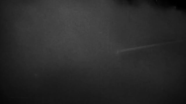 When the world is about to end but Magnolia comes on смотреть онлайн