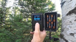 Обзор ФОТОЛОВУШКИ  BolyGuard SG2060-T с показами работы функций. В чём различия.