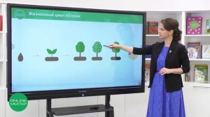 4 класс. Естествознание. 6 урок. Жизненный цикл растений