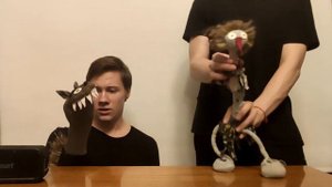 Отборочный тур в театральный институт. Волк и птица