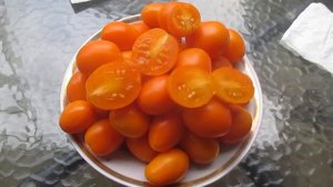 Томаты 2020. Сорт Сербская медовина Солнце
