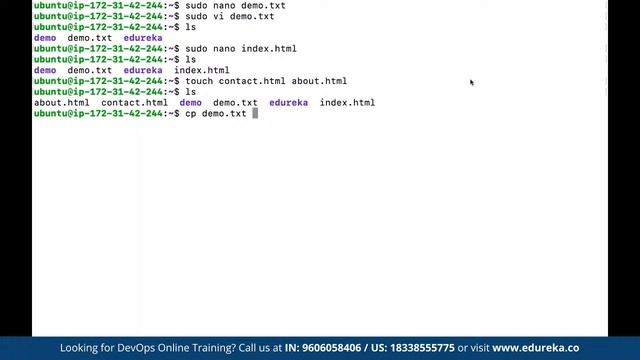 Linux Commands for DevOps | Linux Commands Tutorial for Beginners | Edureka | DevOps Rewind - 2
