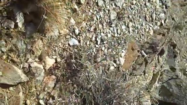 victorville 2 смотреть онлайн