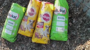 Чем кормить червей в домашних условиях. Заготовка корма для червей