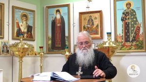 Шизофрения - духовная болезнь? Протоиерей Евгений Горянчик.