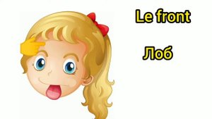 Французский язык. Части тела и лицо. Новые слова. Легко с произношением. Смотри и запоминай.