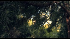 10 Причин ПЕРЕЕХАТЬ В АНГЛИЮ ИЗ РОССИИ | ЖИЗНЬ В ЛОНДОНЕ | Почему я уехал из России?