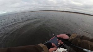 Жор огромных окуней на Ладоге