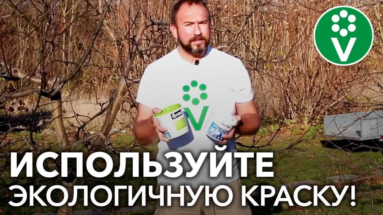 НЕ БЕЛИТЕ ДЕРЕВЬЯ ЭТОЙ КРАСКОЙ!