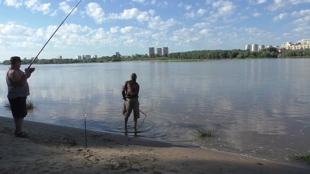 СТЕРЛЯДЬ крупным планом в ПАРКЕ ОМСКА!! смотреть онлайн