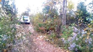 2011 Ford Escape Offroad in Kawartha Highlands Provincial Park