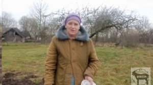 Секреты посадки озимого чеснока.Колбаса из козлятины