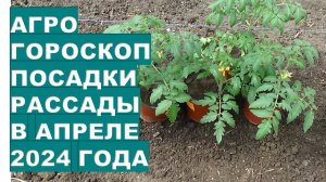 Агрогороскоп посадки рассады в апреле 2024Agrohoroscope for planting seedlings in the ground in Apri