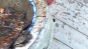 Рыбалка с Сибирским Странником на магнит F400кг