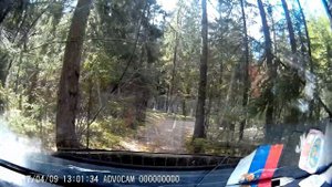 Спортивное ориентирование на местности в лесу. 2017 Смоленск.