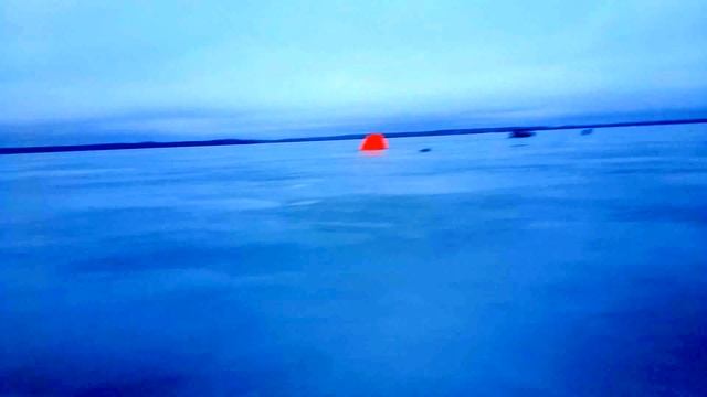 Рыбалка на озере Отрадное смотреть онлайн