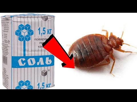 Как избавиться от клопов за 3 минуты!.