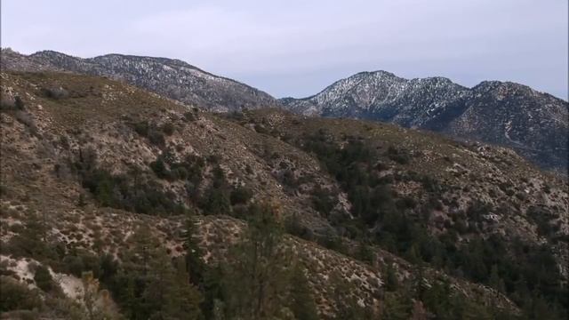 История слепого кота. смотреть онлайн