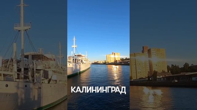 #калининград музей мирового океана