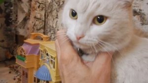 Урок дружбы. Как подружить  щенка и котов.