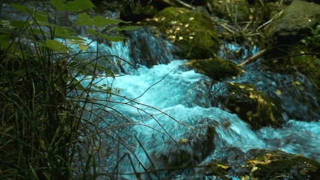 Рафтинг ! Сплав по Средней Катуни смотреть онлайн