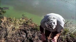 Ловля карася в Подмосковье
