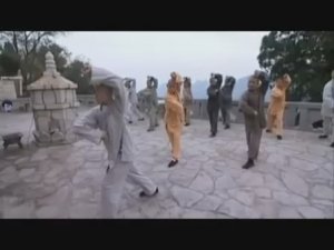 Экстремальный паломник (монастырь Шаолинь, Чань (Дзен), Тайцзи) док. фильм