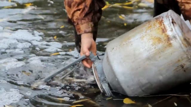 Первый фестиваль «Рыболовные каникулы» смотреть онлайн