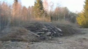 Как вывозить и утилизировать ветки с участка.