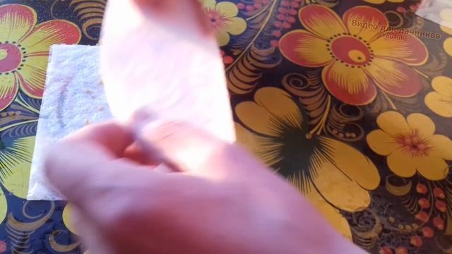 Проращивание семян. Новый способ! Замачивание и проращивание семян перца в зип-пакете. Видео.