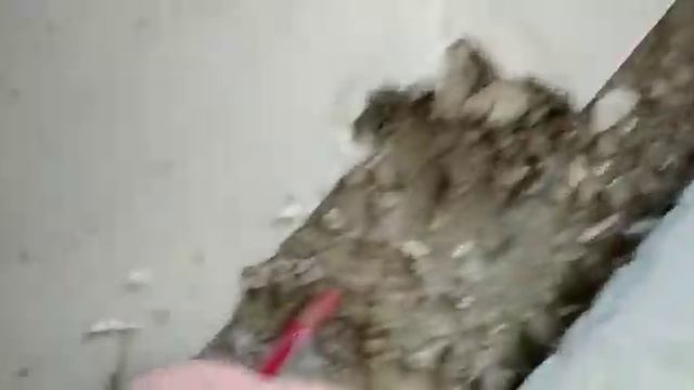 Поиск скрытых протечек воды в Крыму