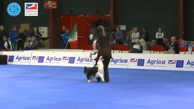 Jessica and Storm winning the World Championship in HTM 2022 смотреть онлайн