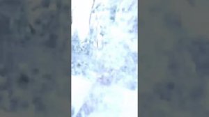 "Падает снег" в исп. Бурлият Эльмурзаева