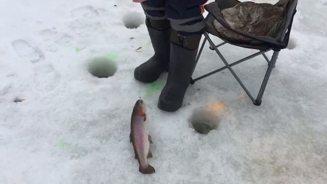 Ловля форели со льда на верховку. РК Фишка Липки. смотреть онлайн