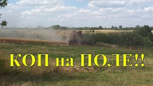 Коп на поле с новой катушкой для Терки 705!!